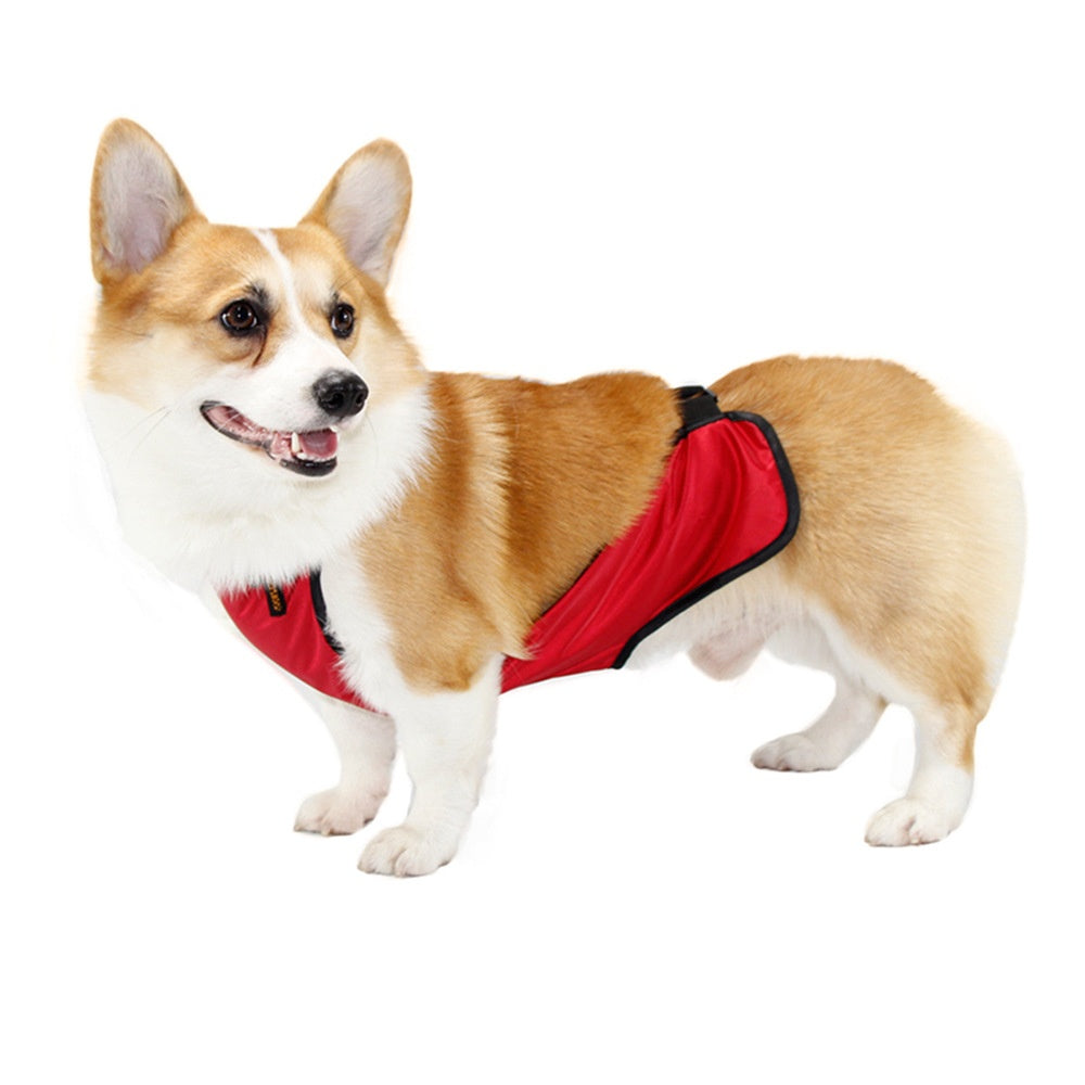 Comfort Fit Belly Protection Band